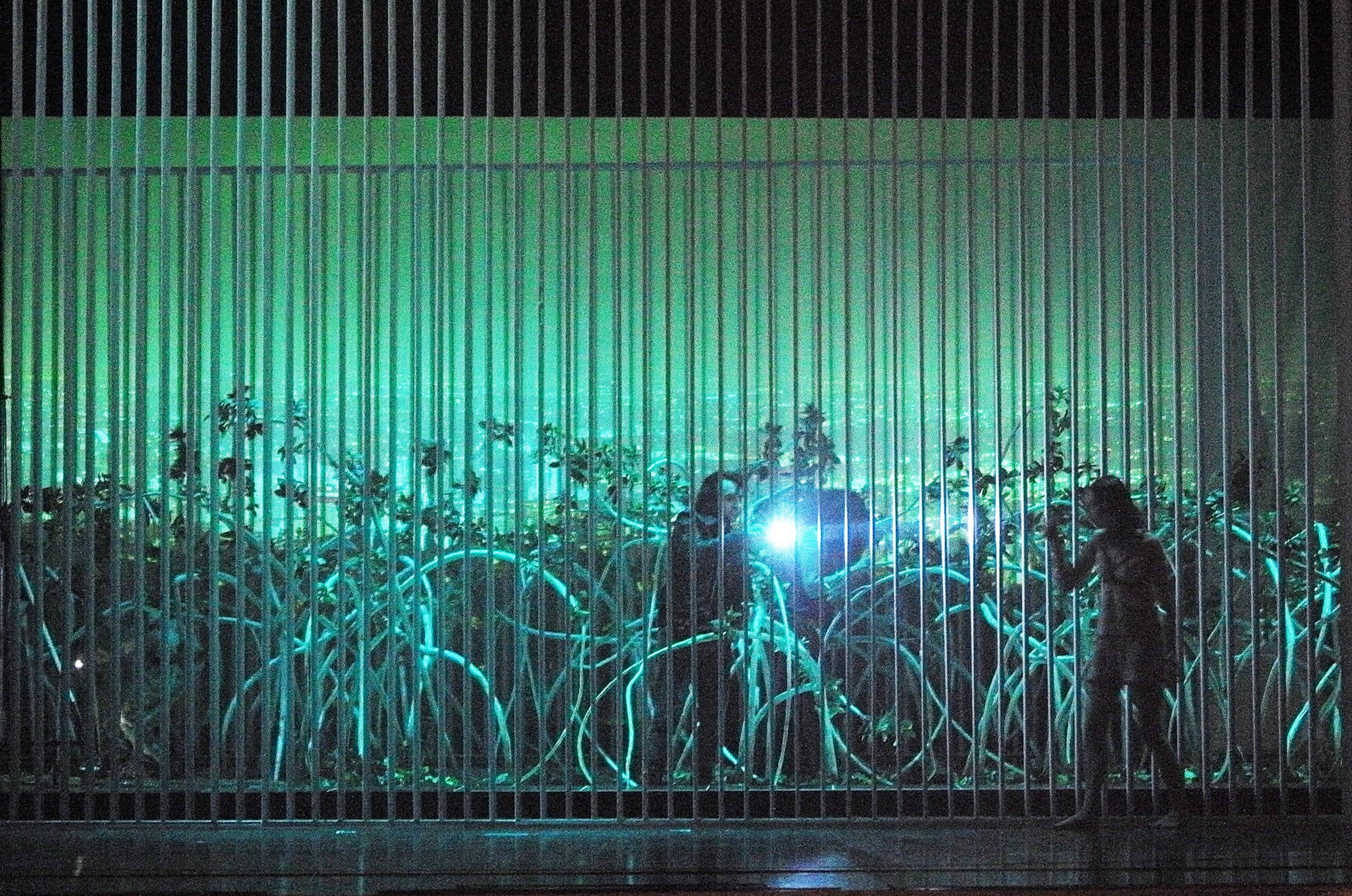 Die G&auml;rtnerin aus Liebe: Roland Schwab, David Hohmann, Ren&eacute;e Listerdal